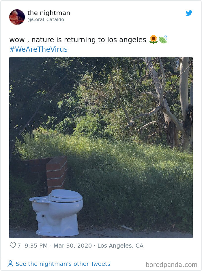 Nature-Healing-Quarantine-Jokes