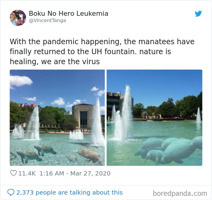 Nature-Healing-Quarantine-Jokes