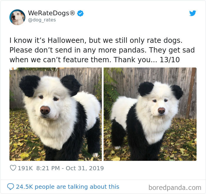 We Rate Dogs