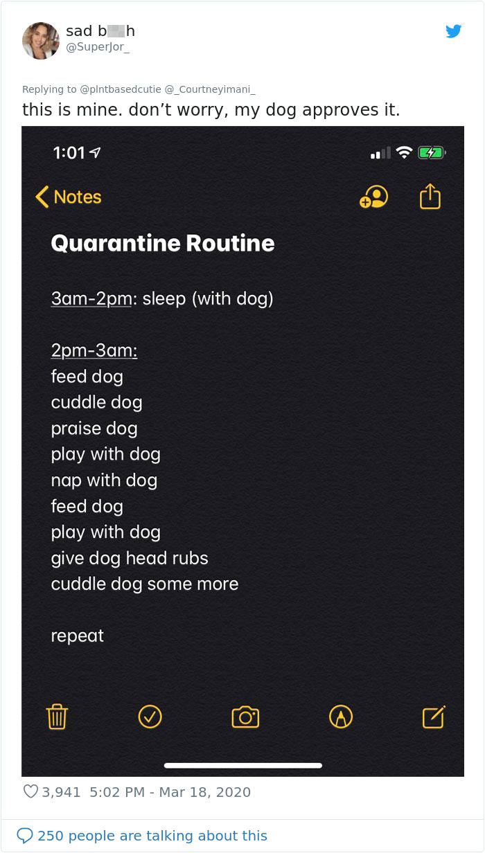 This Woman Tries To Bring Stability Into Her Life By Creating A Quarantine Routine, People Follow Her Example