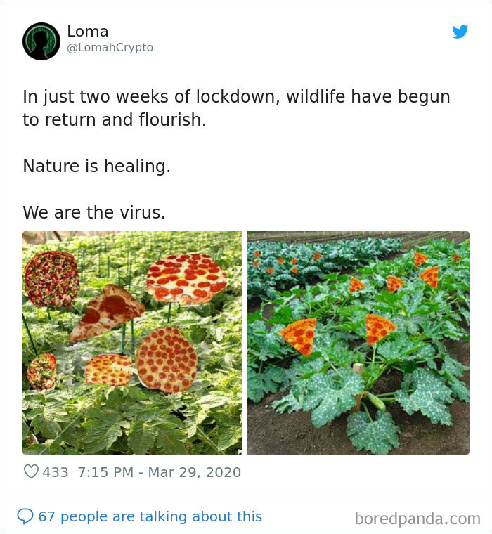 Nature-Healing-Quarantine-Jokes