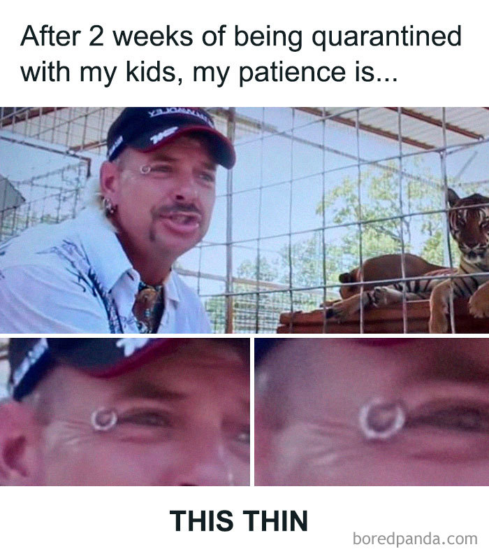 Tiger King meme with person in a cap, eye piercing, and tiger in background humorously showing thin patience.