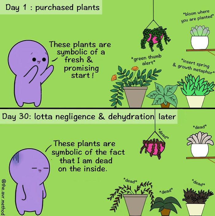 #15 Keep Yourself & Your Houseplants Hydrated