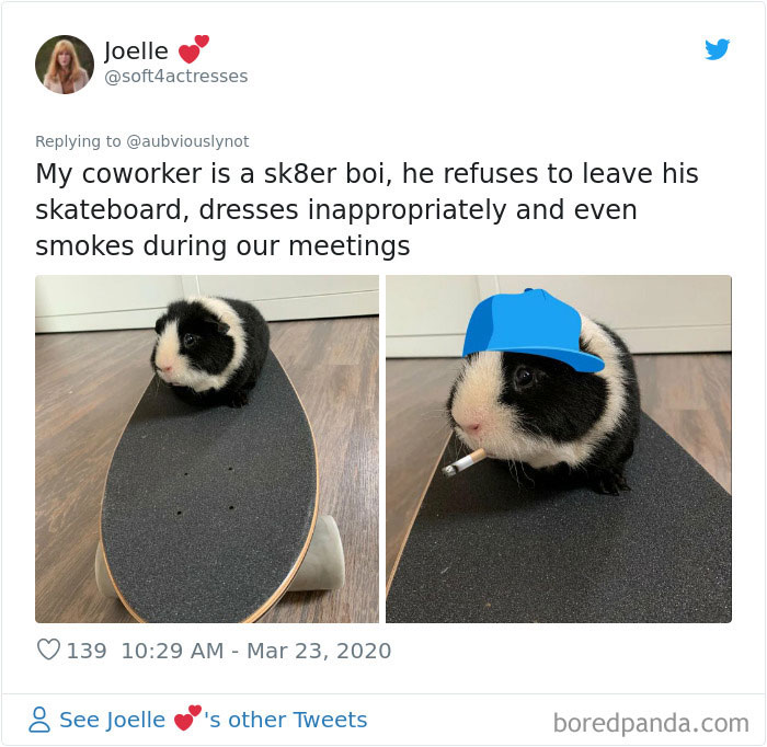 Working-From-Home-Quarantine-Pet-Co-Worker-Photos