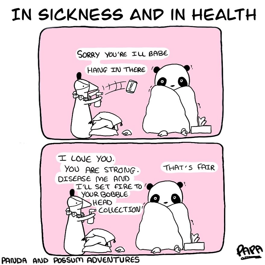 Panda And Possum Adventures- Webcomic