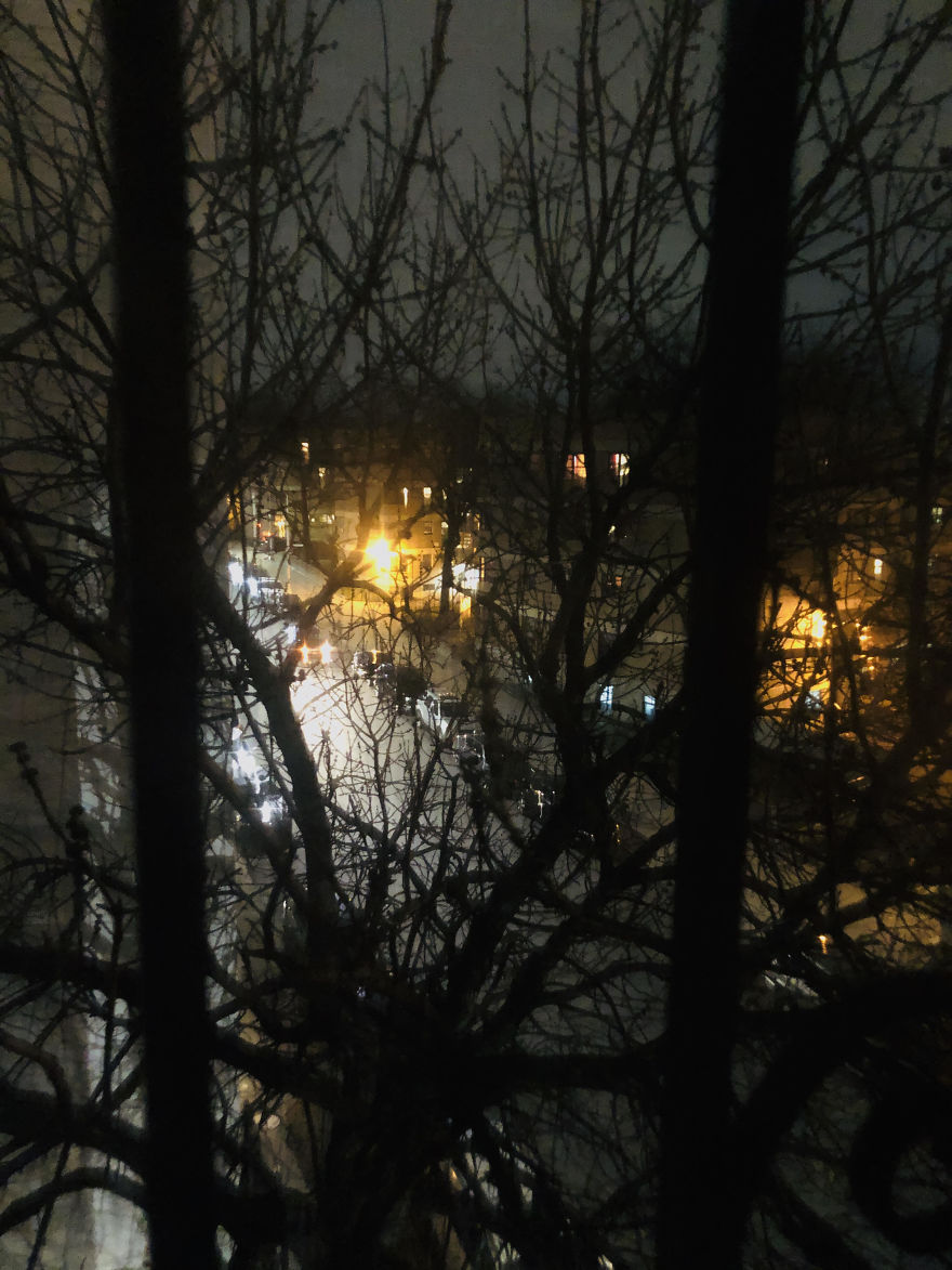 Photo By Julie (New York City, USA)