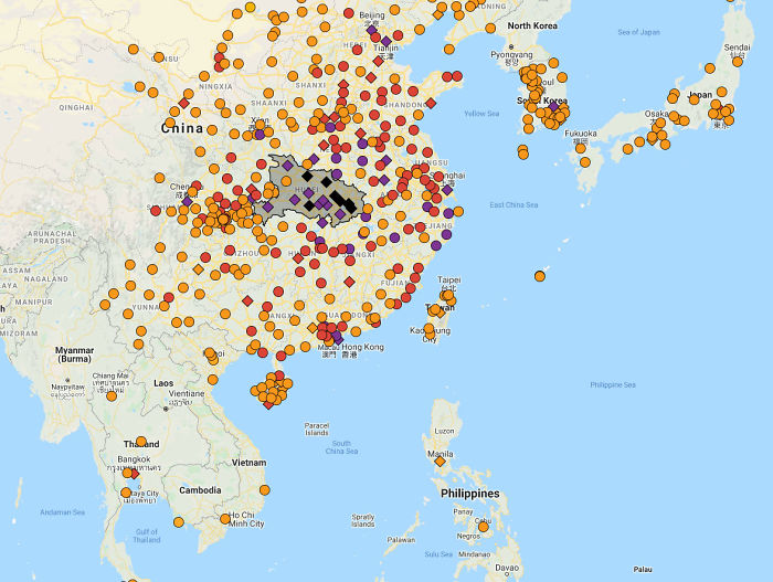 17-Year-Old Figures Out How To Put All The Data About Coronavirus Into One Website And Now Millions Are Using It
