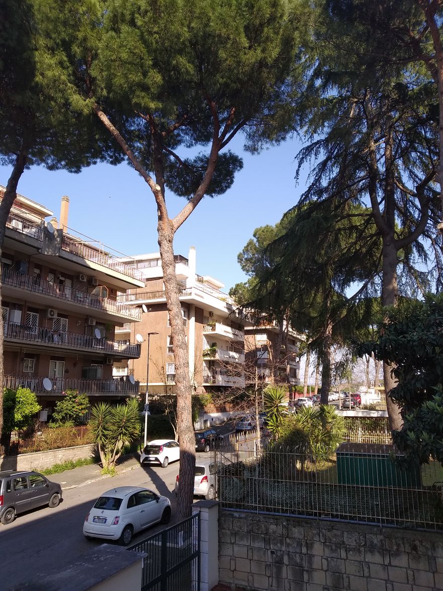 Photo By Sabrina (Colleverde Di Guidonia, Italy)