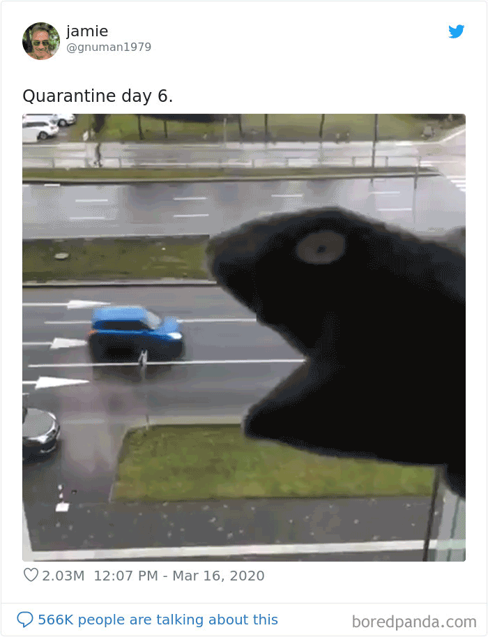 Quarantine Day 6