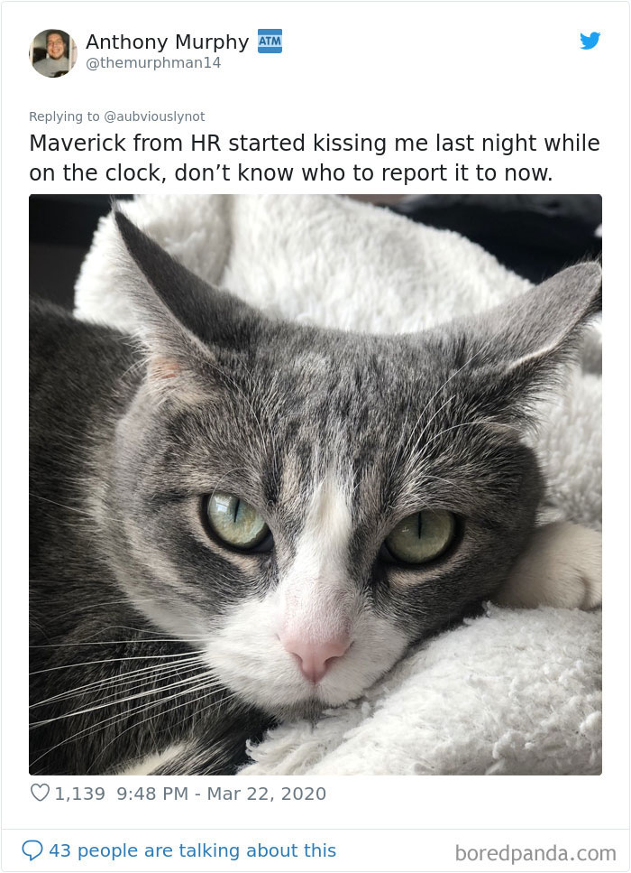 Working-From-Home-Quarantine-Pet-Co-Worker-Photos