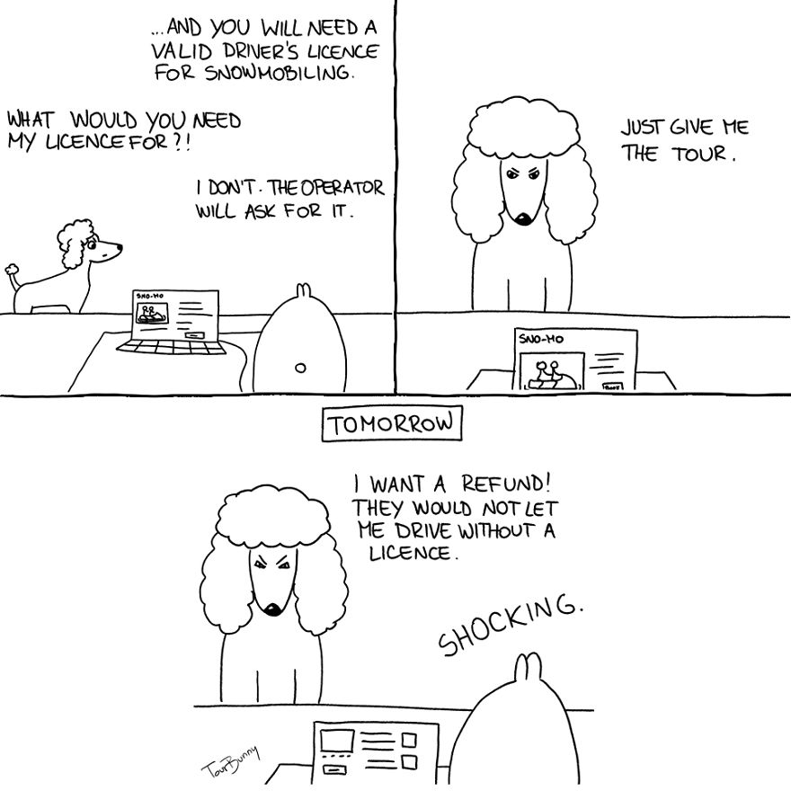 You Would Never Guess