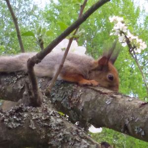 lilli_partanen_9 avatar