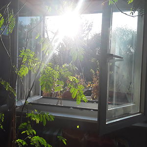 antonia-zscharnack avatar