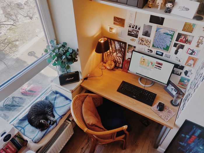 My Setup Working For Bored Panda With Trusty Co-Worker Sleeping By My Side