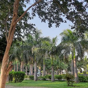 prashantchaudhary avatar