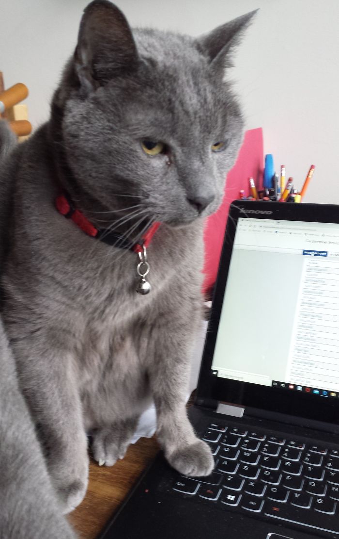 When Your Co-Worker Keeps Triggering The Capslock