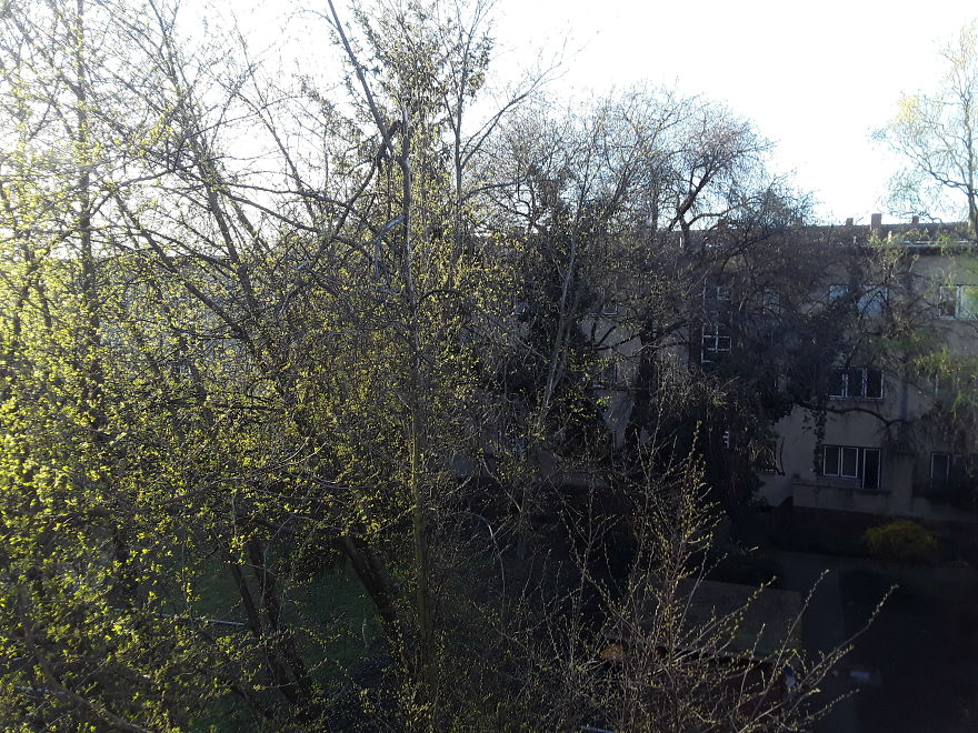 Berlin, Germany (Bedroom Window)