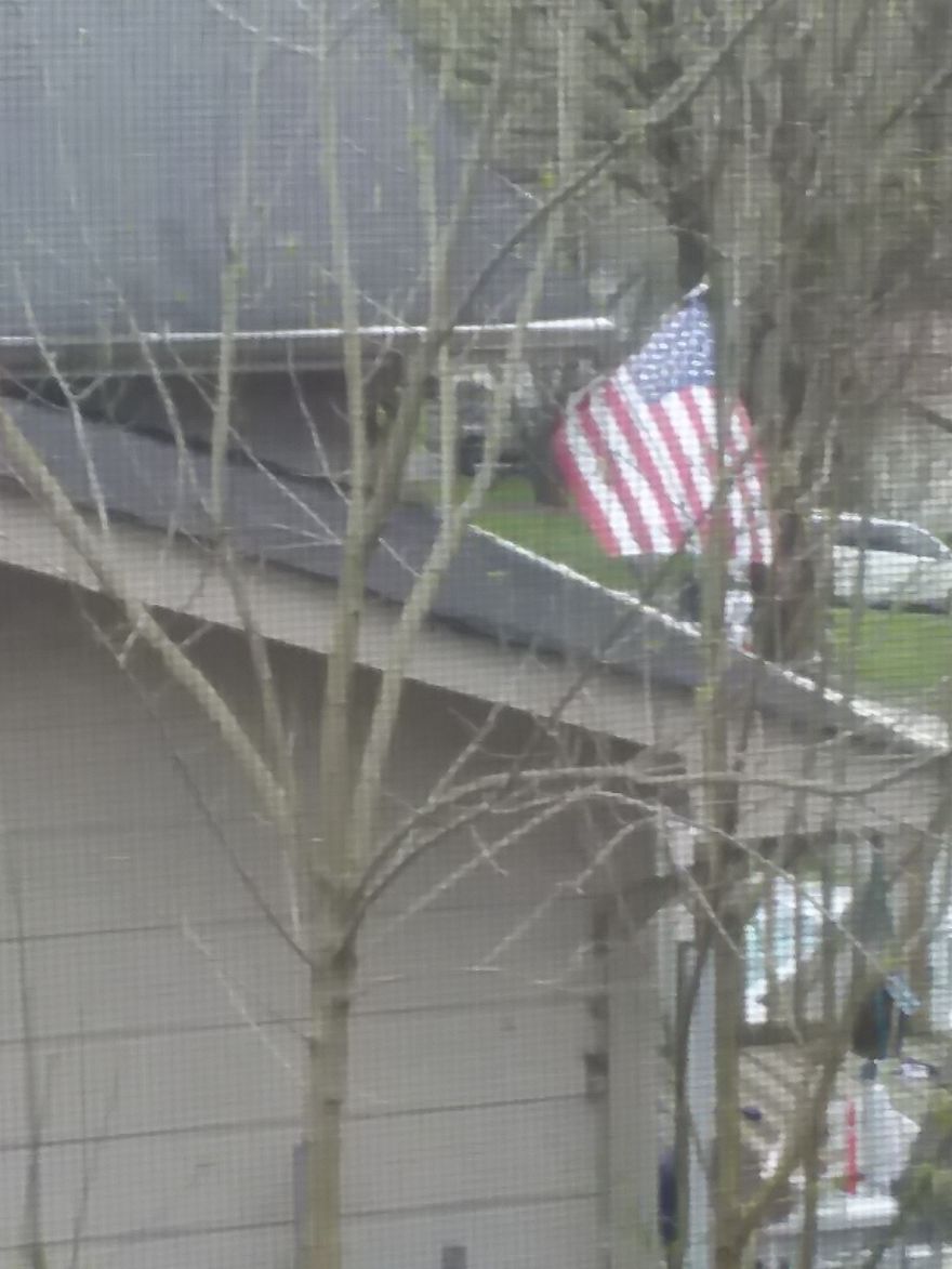 We Have 9 Windows And It Feels Like A Treehouse But I Am Still Reminded That We Are One Nation , Under God, Indivisible, With Liberty And Justice For All.