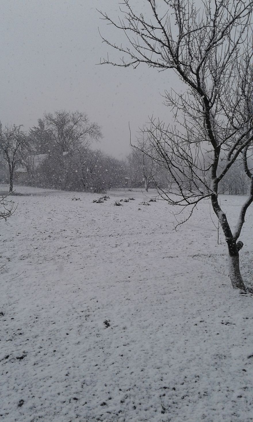 My Grandparents` House. Luka, Ukraine