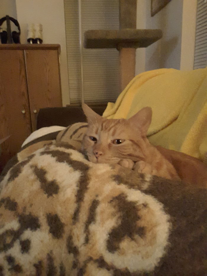 My Co-Worker Is Making Sure That My Roommate Is Staying Warm. He Normally Teaches Ice Skating, So Staying Warm Is Always On The To-Do List