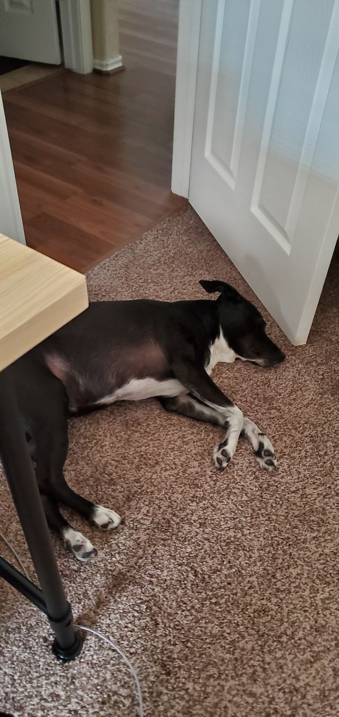 Office Security Guard Implementing New Techniques.