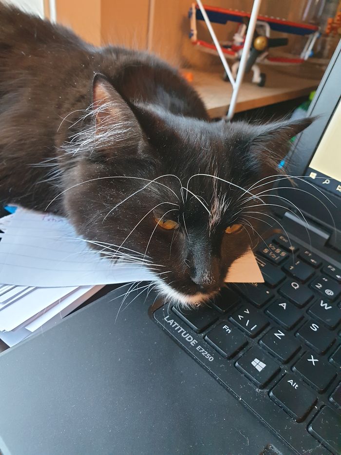 I'll Just Sleep Here Then...