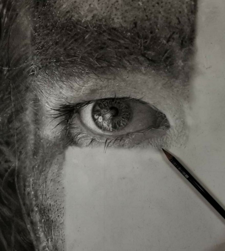 These Are Not Photographs. I Spend Hundreds Of Hours Creating Drawings With Charcoal And Graphite Pencils. This Is My Work. These Are Not Photographs. I Spend Hundreds Of Hours Creating Drawings With Charcoal And Graphite Pencils. This Is My Work.