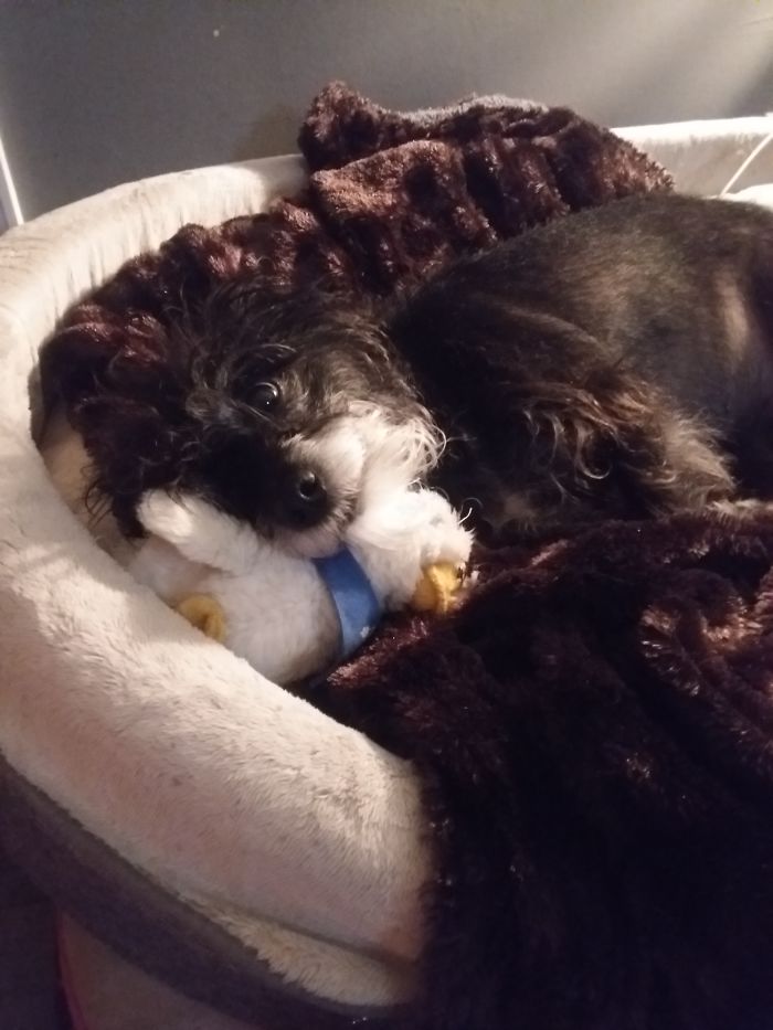 My Coworker Is Sleeping On The Job Again...