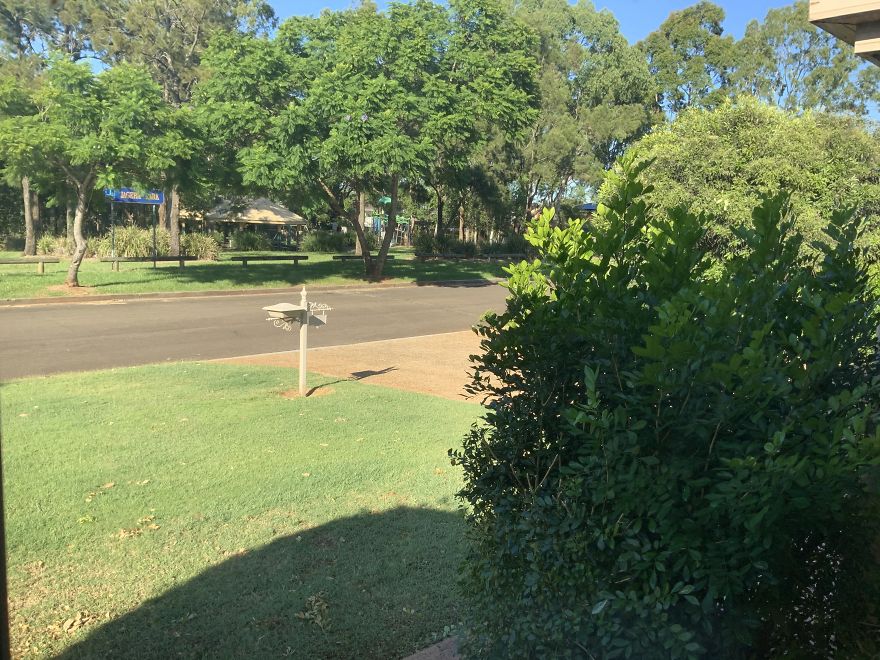 Brisbane, Australia. Park And Street Has Never Been Quieter.