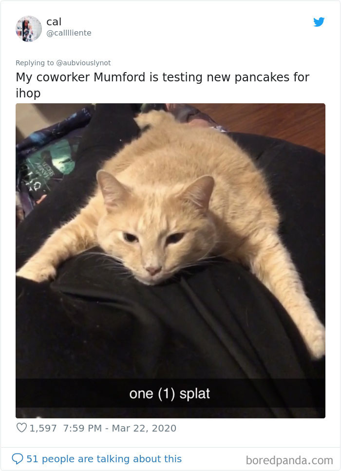 Working-From-Home-Quarantine-Pet-Co-Worker-Photos