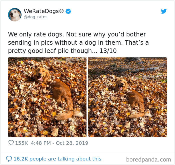 We Rate Dogs