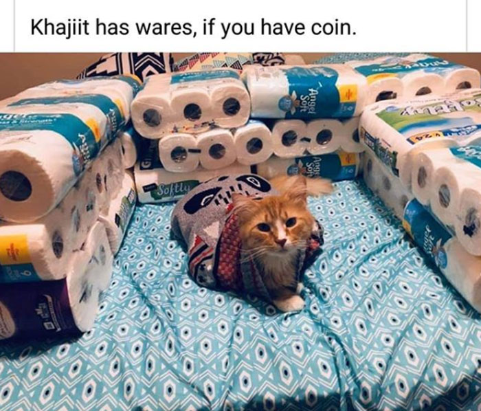 Quarantine-Coronavirus-Jokes