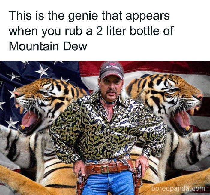 Man in flashy shirt with tigers and American flag background, inspired by Tiger King meme.