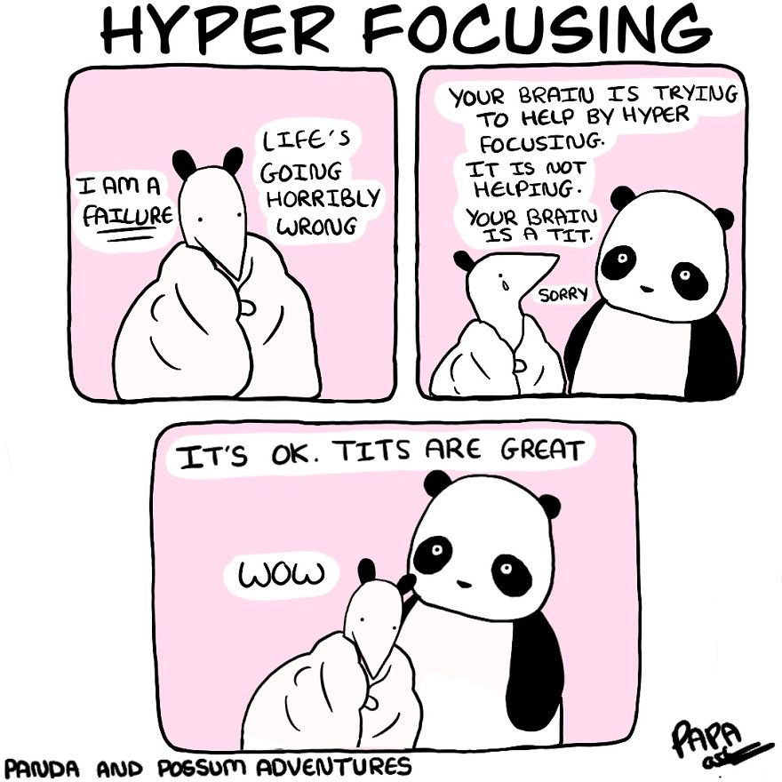 Panda And Possum Adventures- Webcomic