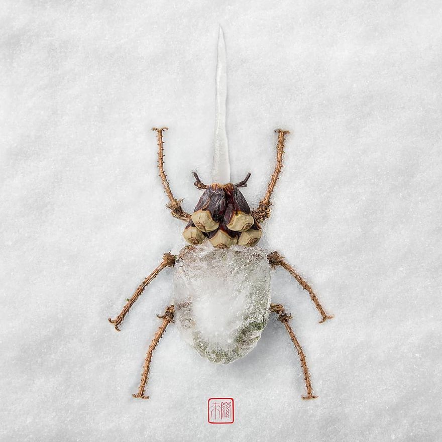 Insects-Flower-Arragements