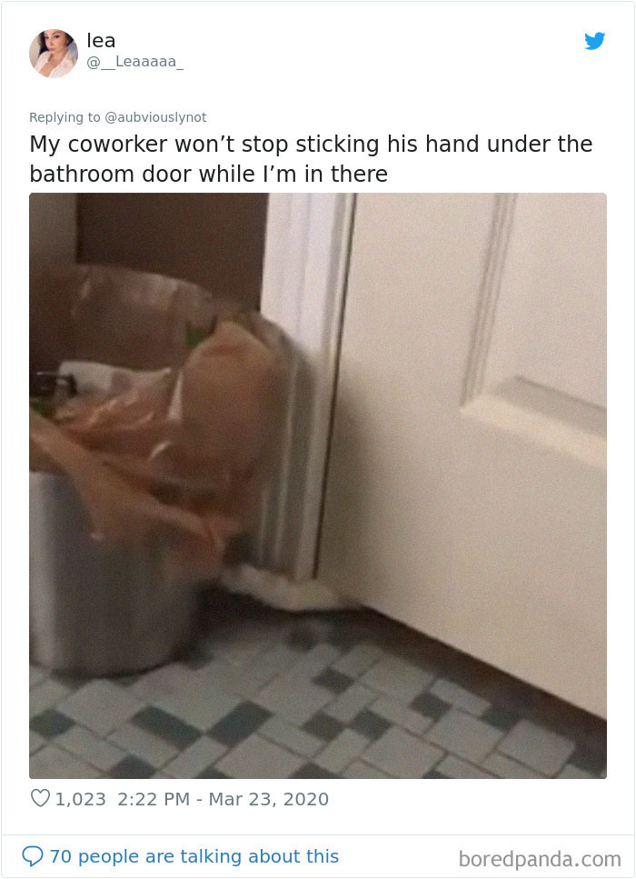 Working-From-Home-Quarantine-Pet-Co-Worker-Photos