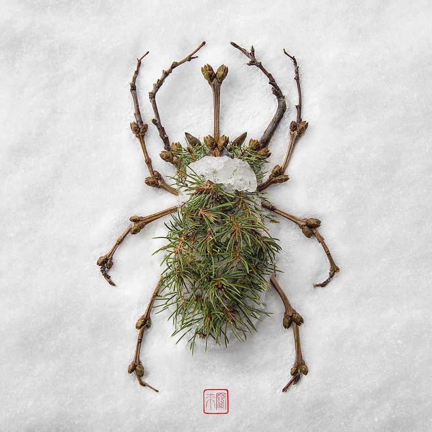 Insects-Flower-Arragements