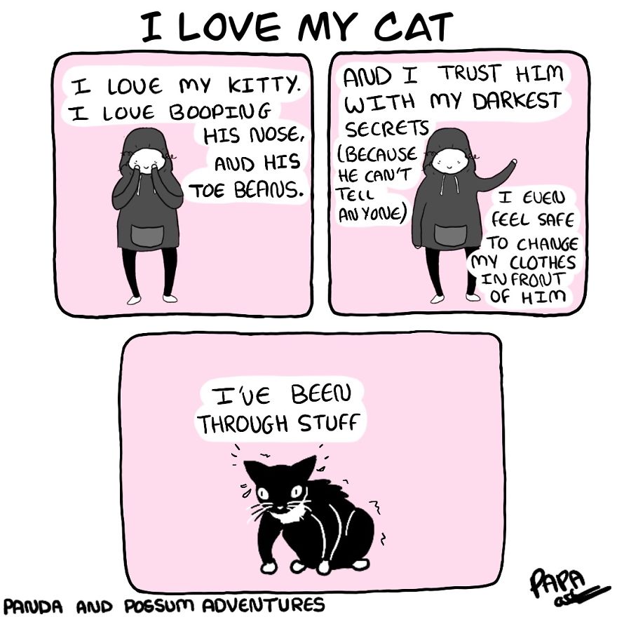 Panda And Possum Adventures- Webcomic