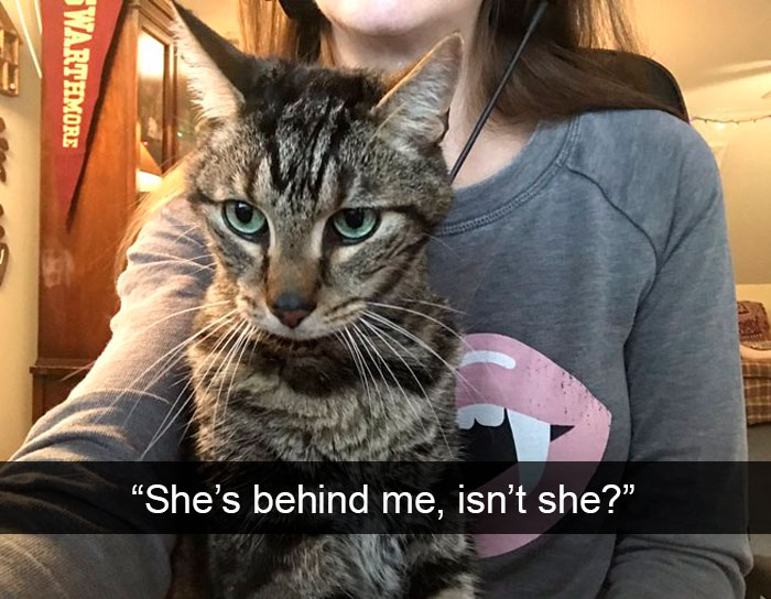 Cat-Snapchat-Funny