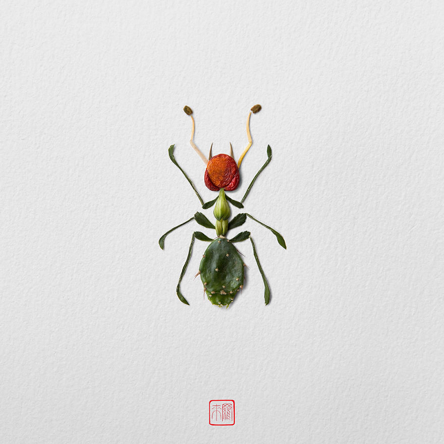 Insects-Flower-Arragements