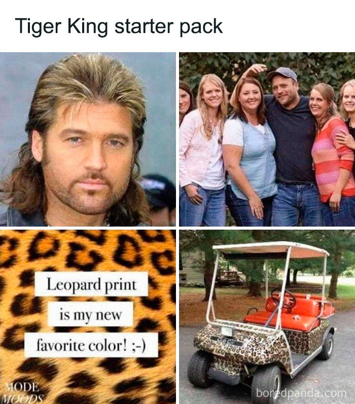 Tiger-King-Joe-TV-Show-Jokes