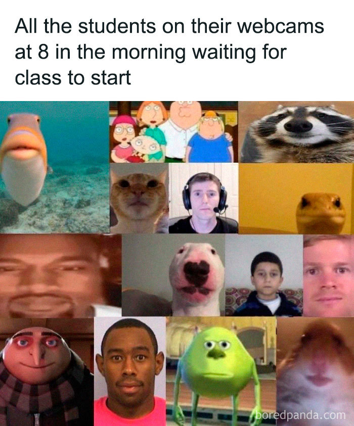 Quarantine-Coronavirus-Jokes-Memes