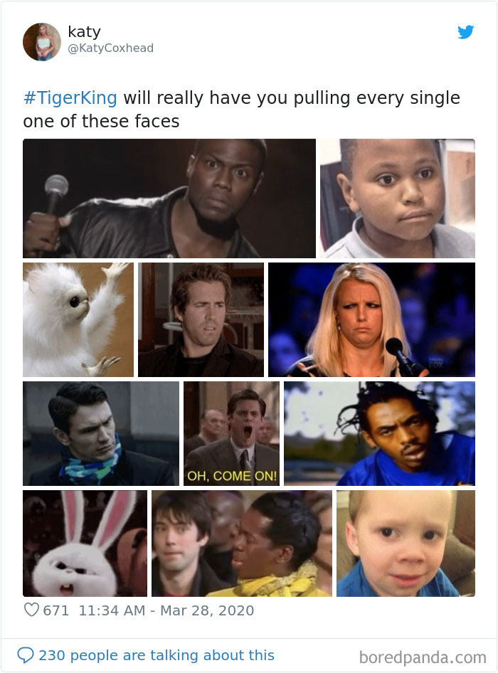 Collage of expressive faces inspired by Tiger King meme reactions.