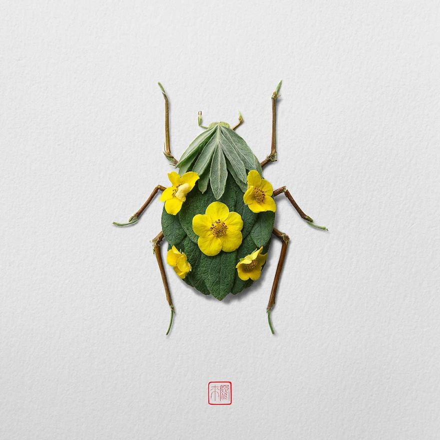 Insects-Flower-Arragements