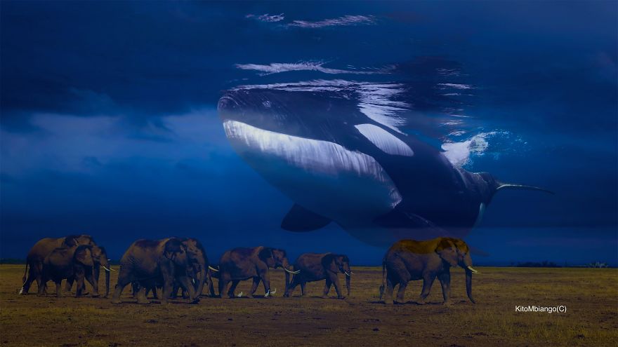 As An Artist, I Believe That Art Can Get You To Think Differently About Nature