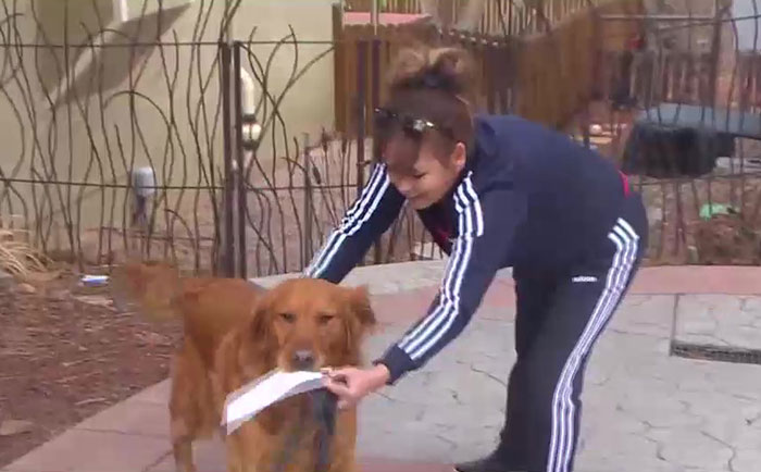 After This Elderly Woman With Respiratory Problems Had To Self-Isolate, Her Neighbor's Dog Started To Deliver Groceries To Her