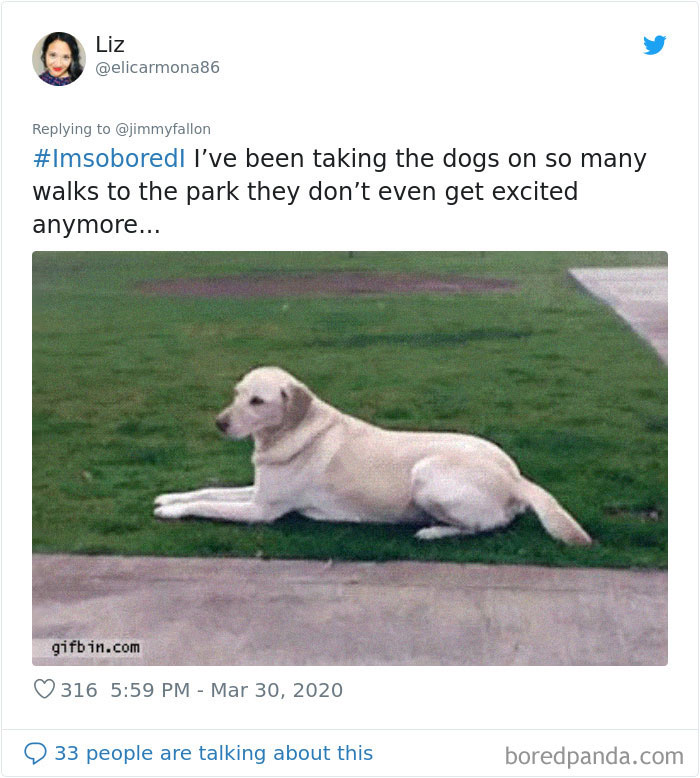 Im-So-Bored-Quarantine-Tweets-Jimmy-Fallon