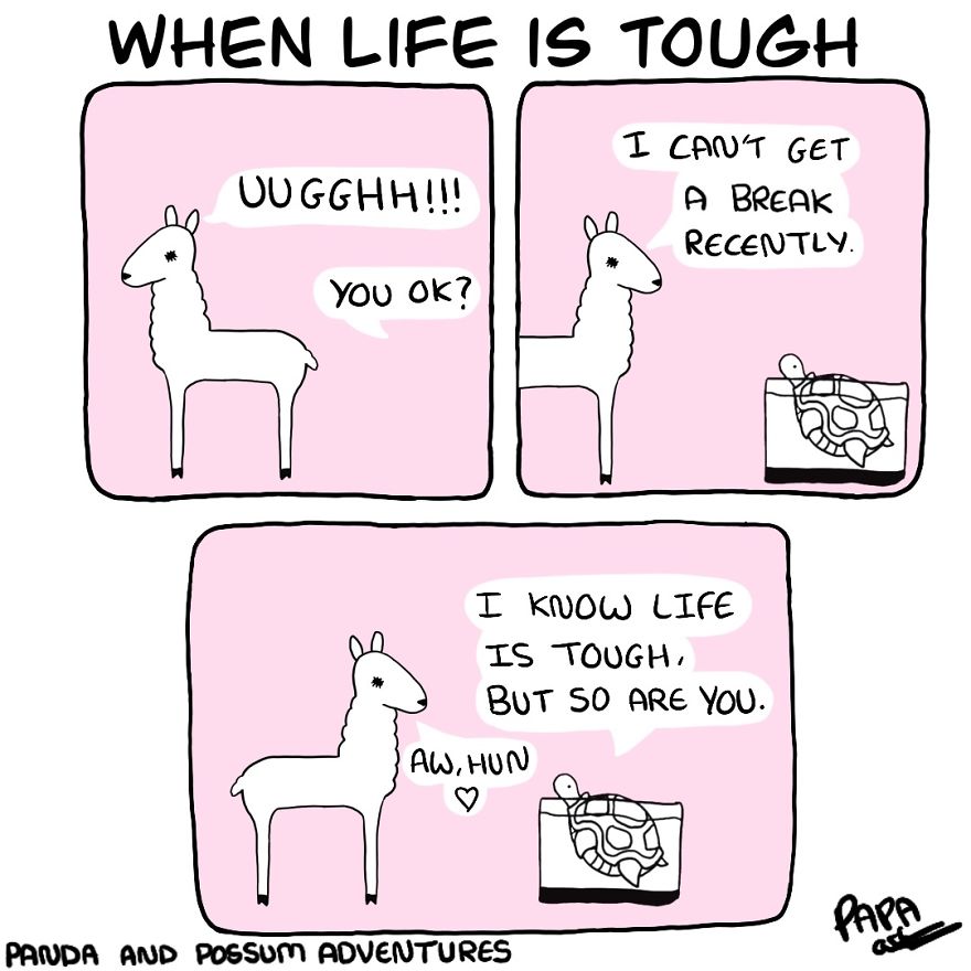 Panda And Possum Adventures- Webcomic