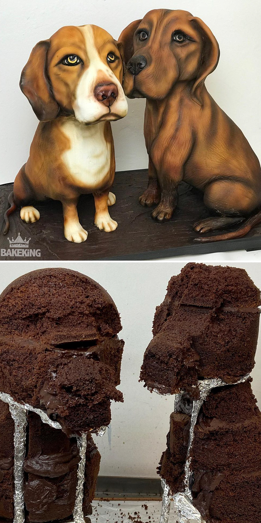 Confusing-Confectionery