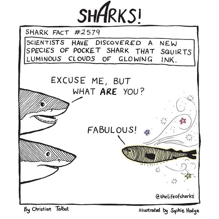 Here R My Comic Like Memes